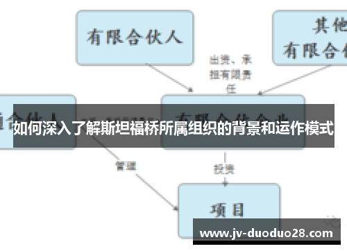 如何深入了解斯坦福桥所属组织的背景和运作模式 如何深入了解斯坦福桥所属组织的背景和运作模式