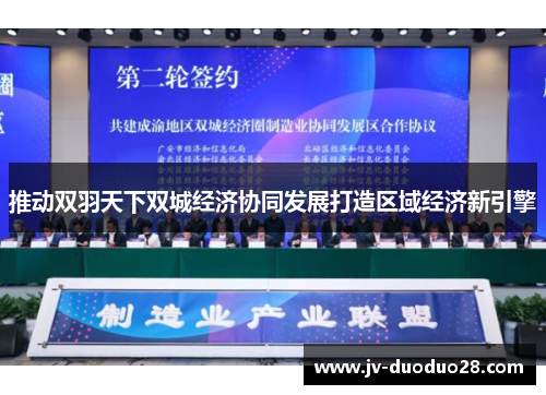 推动双羽天下双城经济协同发展打造区域经济新引擎 推动双羽天下双城经济协同发展打造区域经济新引擎
