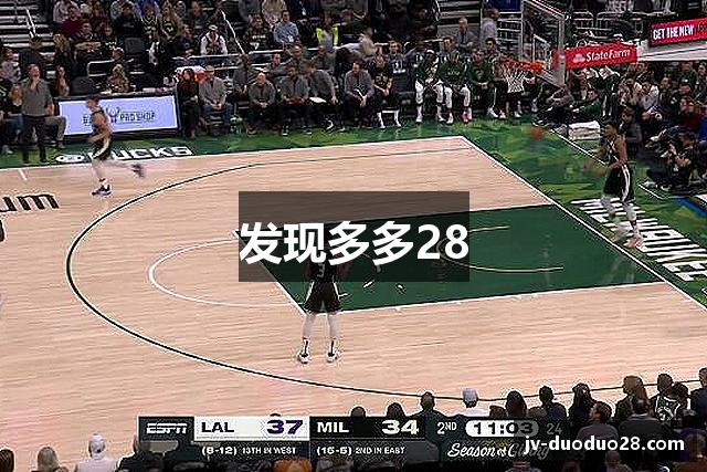 发现多多28